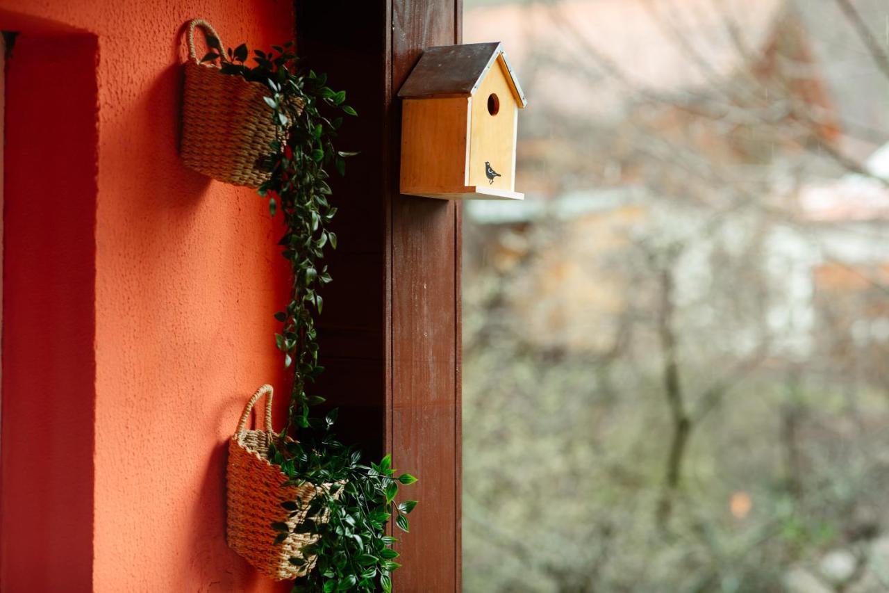 Home & Garden With Stunning View Sinaia Kültér fotó